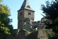 Frankenstein - Burg - Bild 5