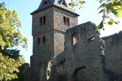 Frankenstein - Burg - Bild 7